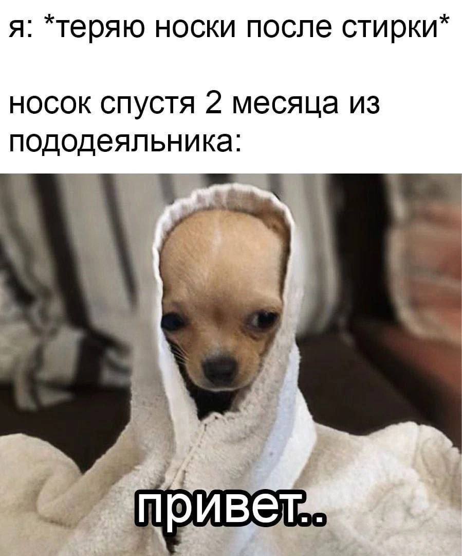 я: *теряю носки после носок спустя 2 месяца из пододеяльника: 5 к 4