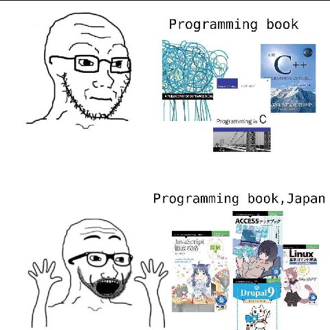 Programming book THE Programming in С Programming book,Japan Drupal9