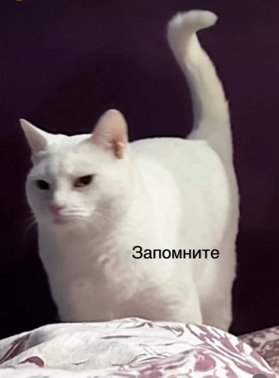 Запомните