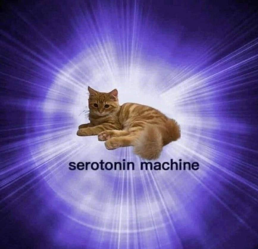 serotonin machine