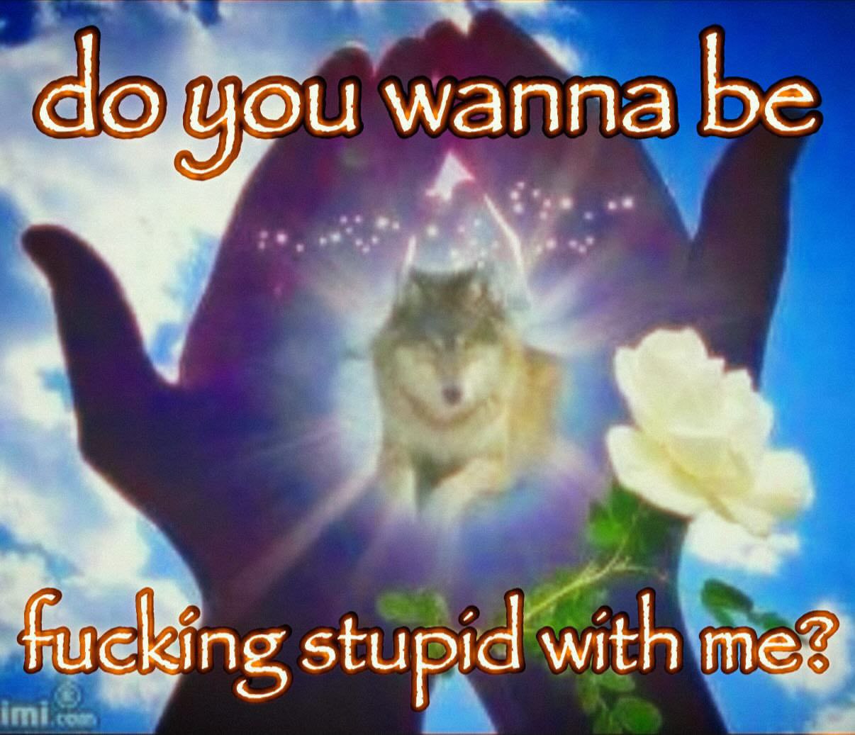 wanna be stupid with meg