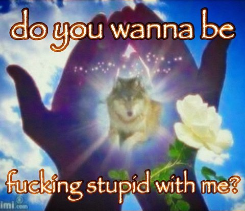 wanna be stupid with meg
