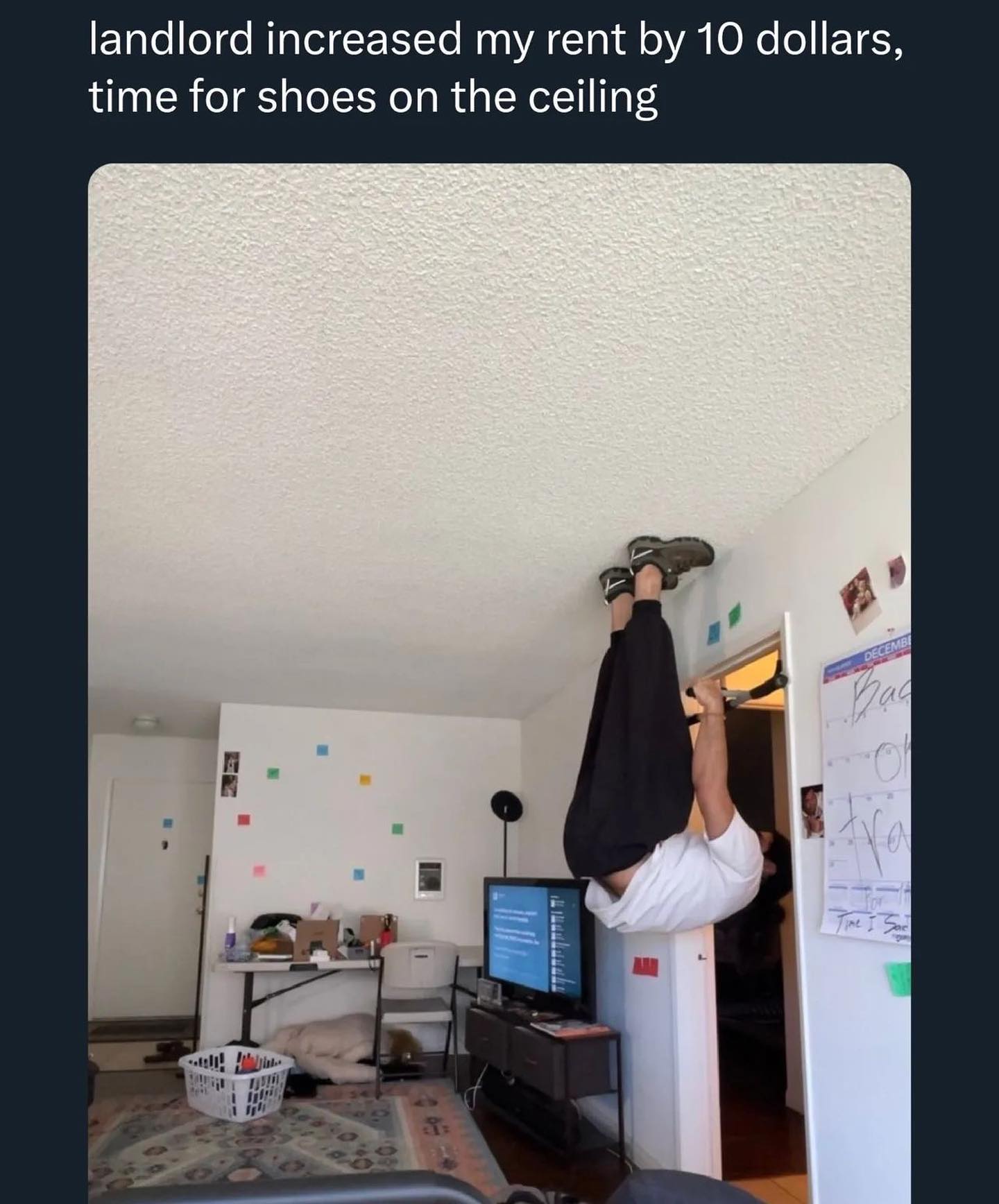 landlord increased my rent 10 dollars, time for shoes on the ceiling 5