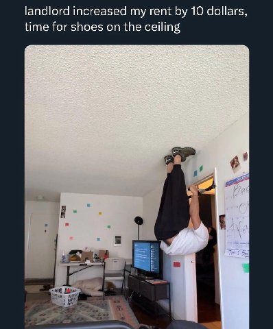 landlord increased my rent 10 dollars, time for shoes on the ceiling 5