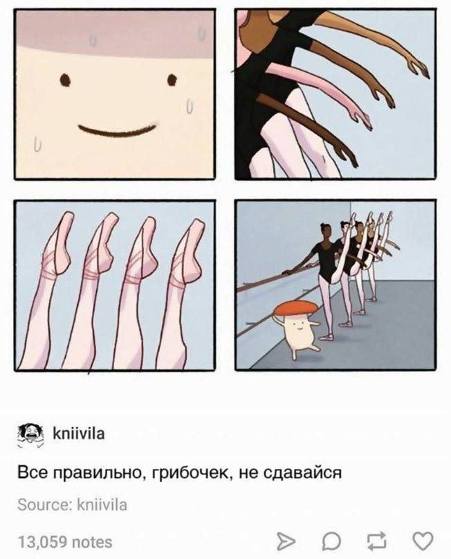 A kniivila Все правильно, грибочек, не сдавайся Source kniivila 13,059 notes