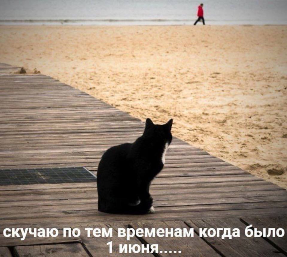 ant скучаю по тем временам когда было Тиюня.....