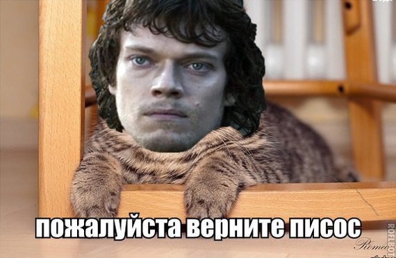 У we пожалуйста верните nucoc