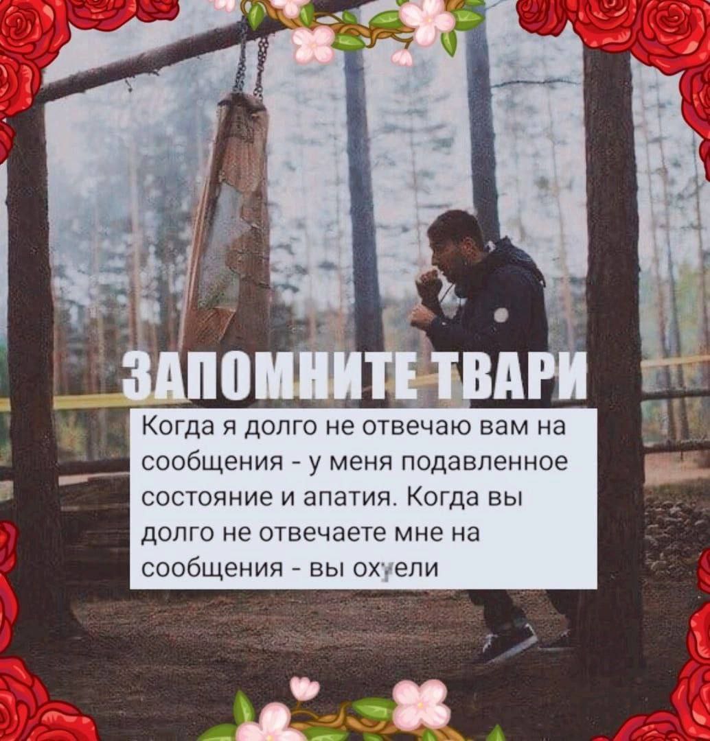 2 4 3 ЗАПОМНИТЕ ТВАРИ Когда я долго не отвечаю вам на сообщения у меня подавленное состояние и апатия. Когда вы долго не отвечаете мне на сообщения вы охуели 36