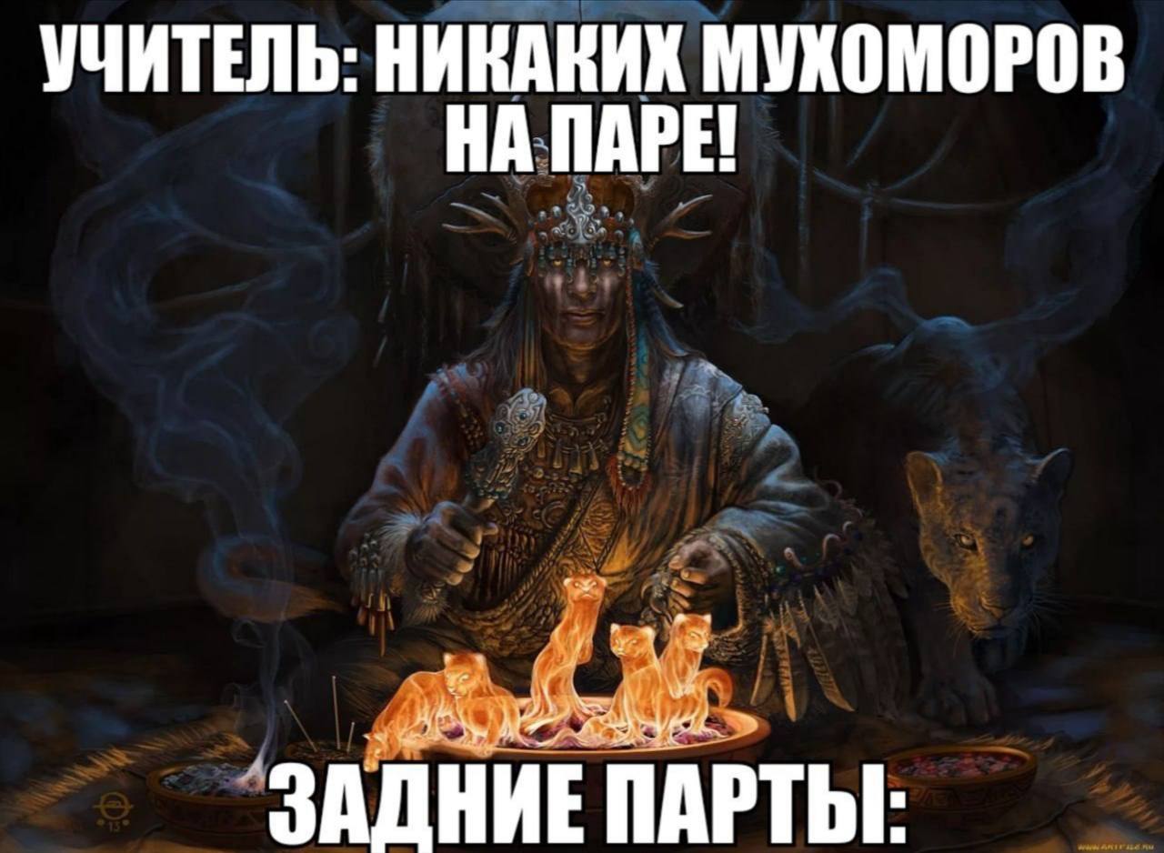 УЧИТЕЛЬ: НИКАКИХ МУКОМОРОВ НА ПАРЕ! ЗАДНИЕ