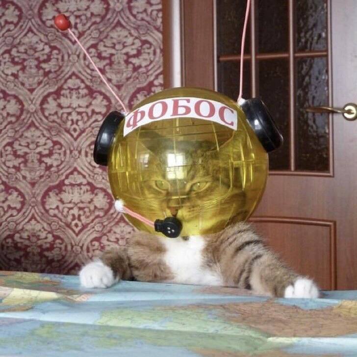 а 1 С 4 7 1 724 he