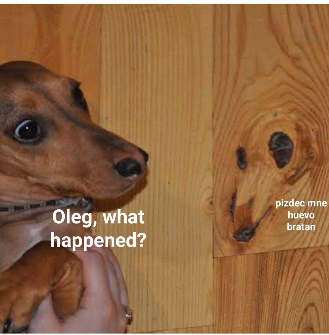 pizdec тпе huevo Oleg, what bratan happened?