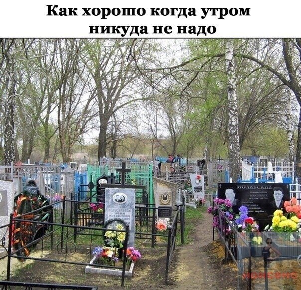 Как хорошо когда утром никуда не надо 4 joe А 14 2 Я i me 4.