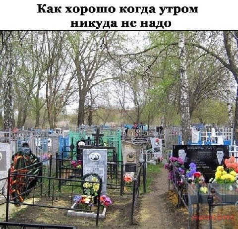 Как хорошо когда утром никуда не надо 4 joe А 14 2 Я i me 4.