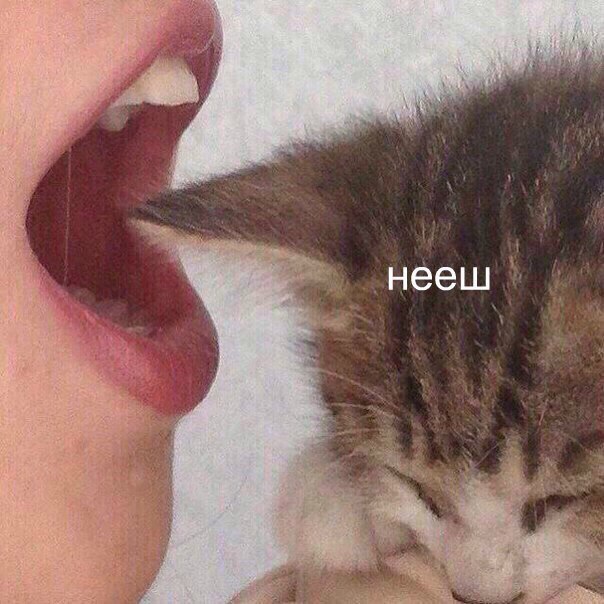 у a нееш