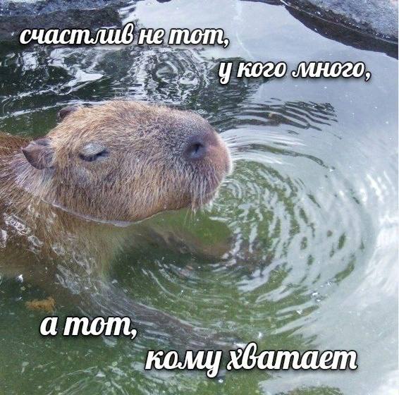 нетот кого много, атот, a кому XCamaem