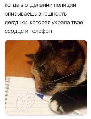когда в отделении полиции описываешь внешность девушки, которая украла твое сердце ителефон у