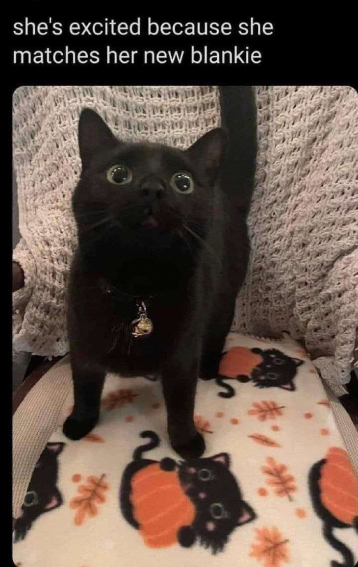 she's excited because she matches her new blankie я