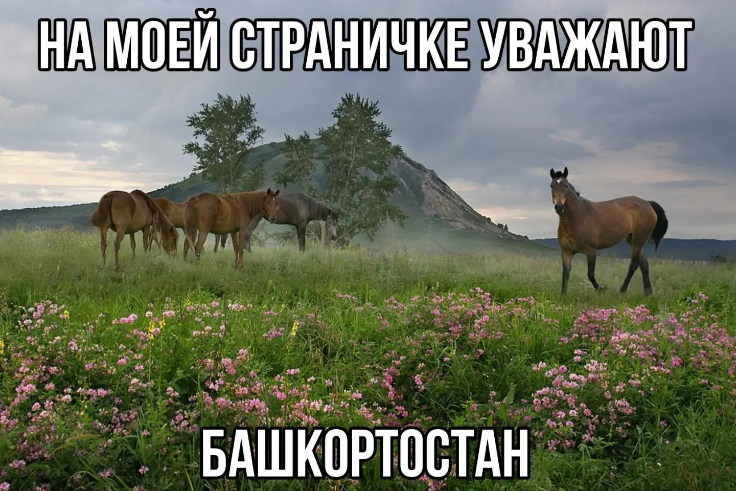 СТРАНИЧКЕ УВАЖАЮТ БАШКОРТОСТАН