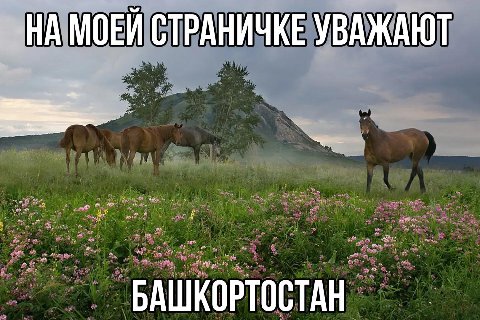 СТРАНИЧКЕ УВАЖАЮТ БАШКОРТОСТАН