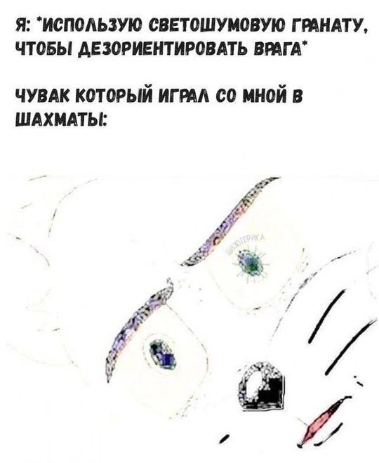 Я: "ИСПОЛЬЗУЮ СВЕТОШУМОВУЮ ГРАНАТУ, ЧТОБЫ ДЕЗОРИЕНТИРОВАТЬ ВРАГА“ ЧУВАК КОТОРЫЙ ИГРАЛ МНОЙ В ШАХМАТЫ: 4