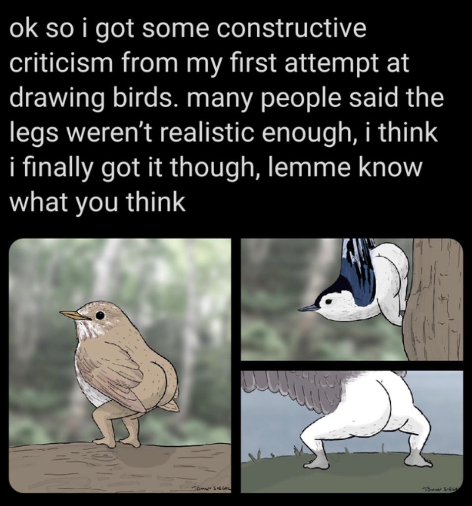 so i got some constructive criticism from my first attempt at drawing birds. many people said the legs weren't realistic enough, i think i finally got it though, lemme know what you think