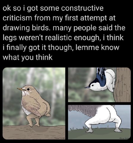 so i got some constructive criticism from my first attempt at drawing birds. many people said the legs weren't realistic enough, i think i finally got it though, lemme know what you think