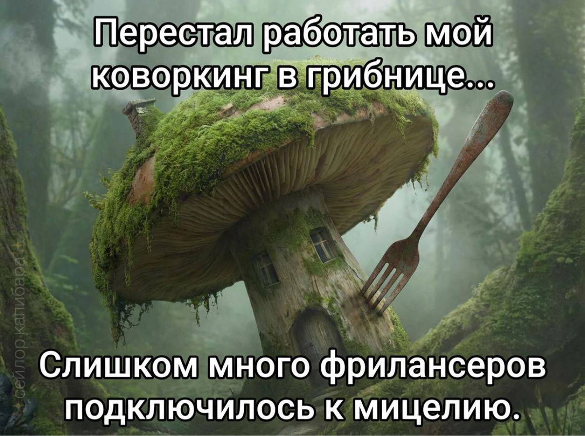 Перестал работать мой коворкинг в грибнице... Слишком много фрилансеров подключилось к мицелию.