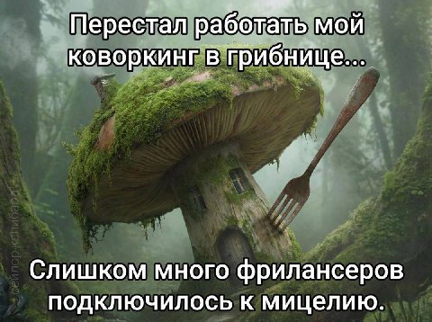 Перестал работать мой коворкинг в грибнице... Слишком много фрилансеров подключилось к мицелию.