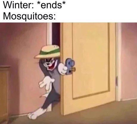 Winter: *ends* Mosquitoes: