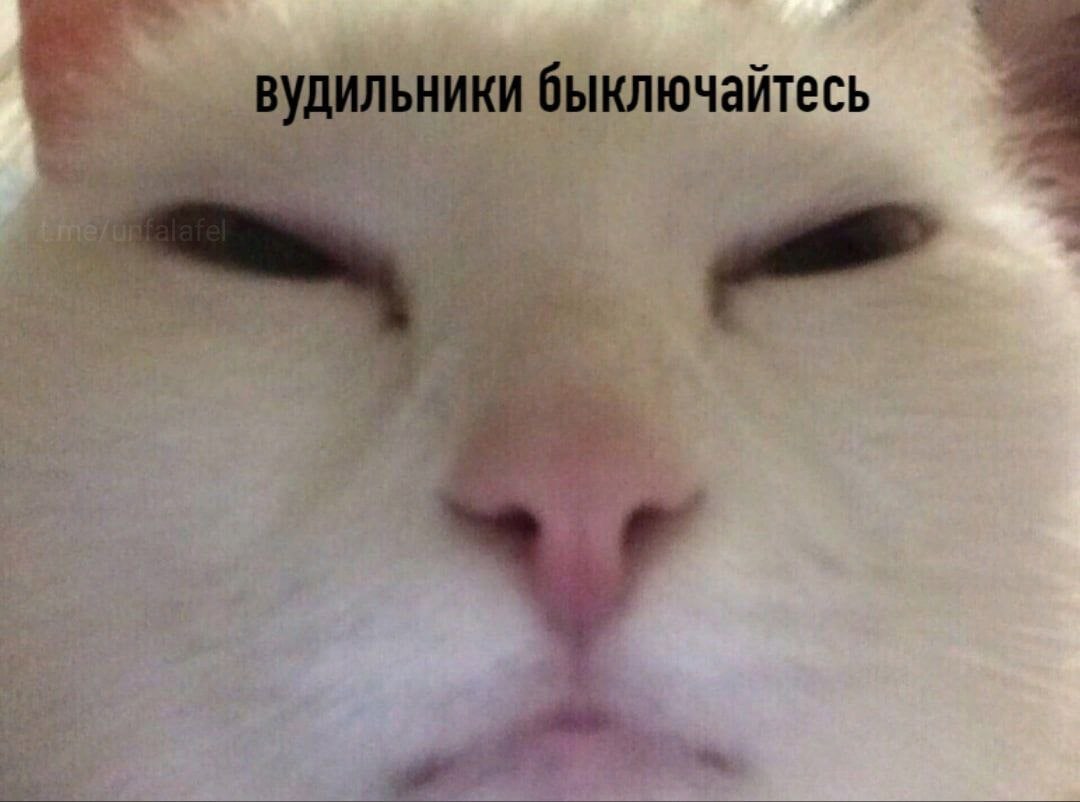 ключайтесь 4 4 4