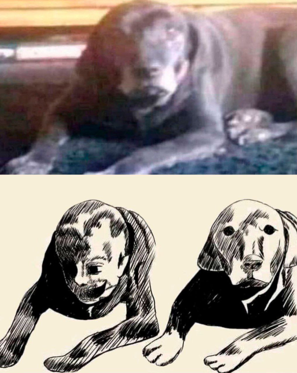 4 1