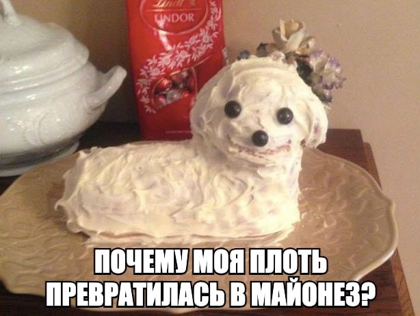 к. МОЯ ПЛОТЬ ПРЕВРАТИЛАСЬ В МАЙОНЕЗ?