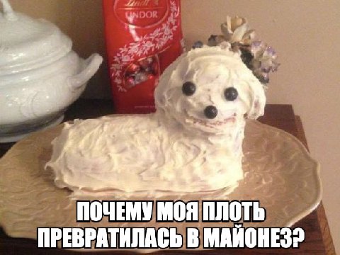к. МОЯ ПЛОТЬ ПРЕВРАТИЛАСЬ В МАЙОНЕЗ?
