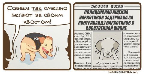 так смешно ПОЛИЦЕНСНАЯ ИЩЕНКА Бегают за своим ЗАДЕРЖАНА ЗА xBOCTOM! КОНТРАБАНДУ В СОБСТВЕННОЙ США истинные при декабря, 2018 но одно извест цейская собака Нюховец был наверняка, что этот униципалитете