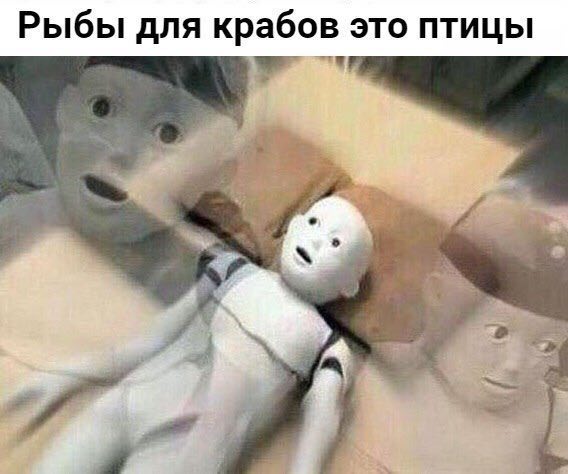 Рыбы для крабов это птицы 1