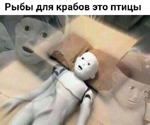 Рыбы для крабов это птицы 1