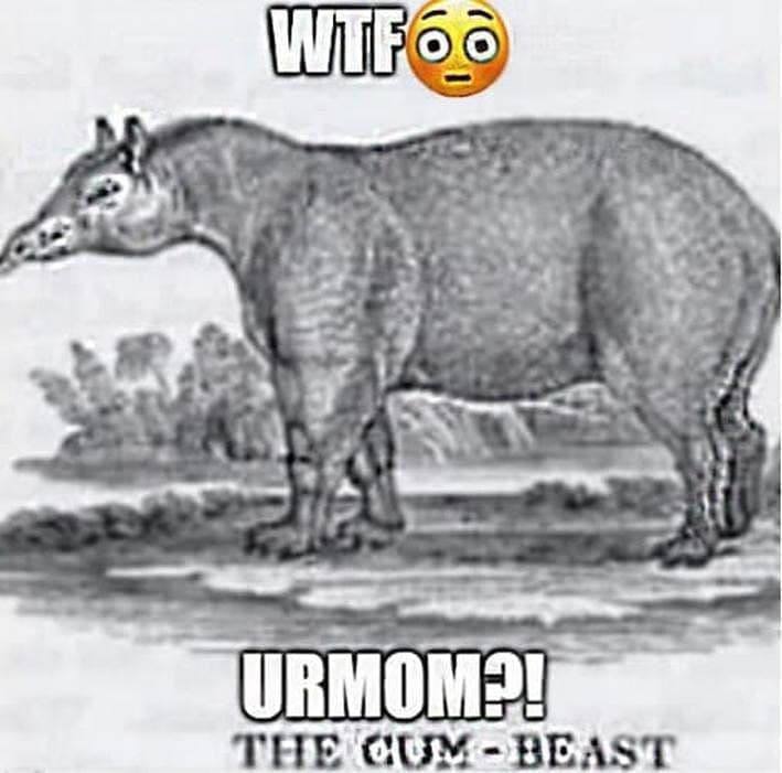 Wik URMOM THE
