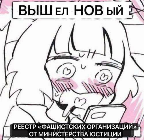 ВЫШ НОВ РЕЕСТР «ФАШИСТСКИХ ОРГАНИЗАЦИИ» ЮСТИЦИИ