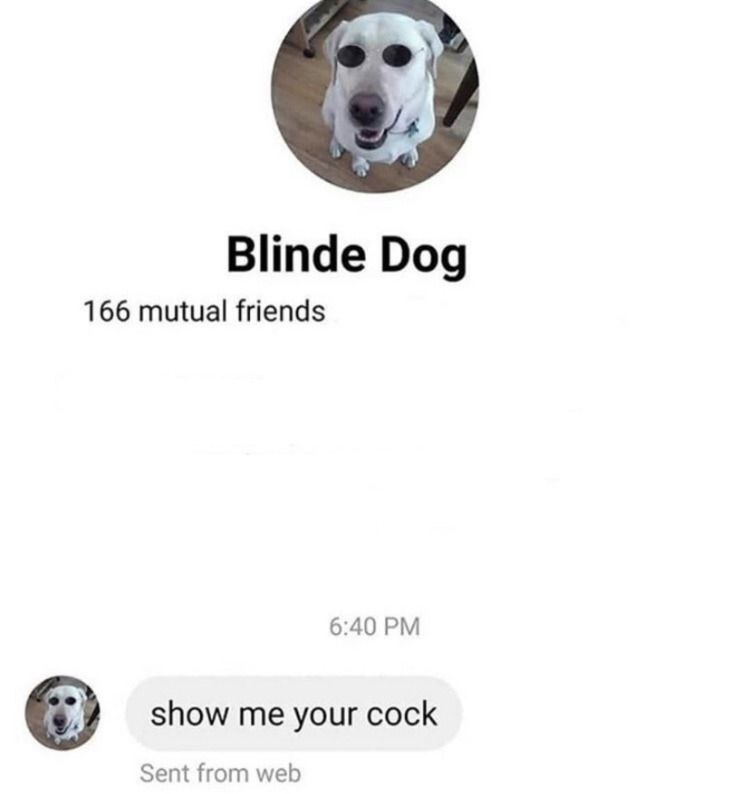 Blinde Dog 166 mutual friends 6:40 show me your cock Sent from web
