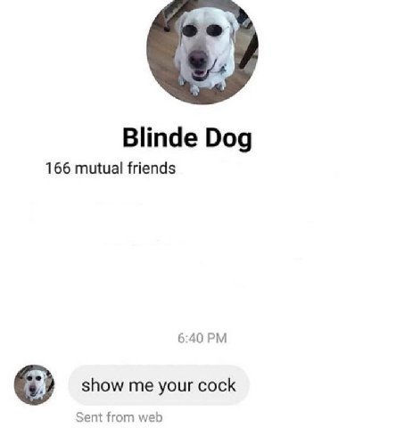 Blinde Dog 166 mutual friends 6:40 show me your cock Sent from web
