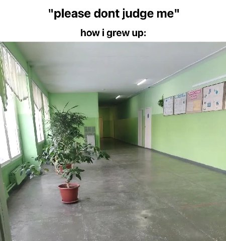 "please dont judge how i grew up: