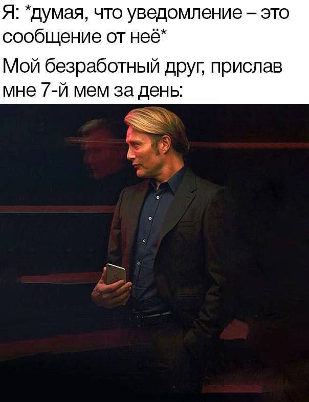 Я: *думая, что уведомление это сообщение от неё* Мой безработный друг, прислав мне мем за день: