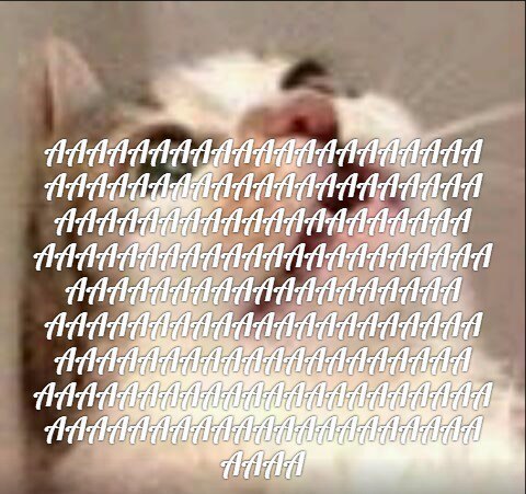 И 4 17 AAG