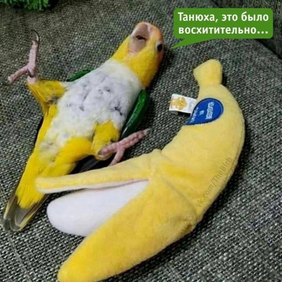 Танюха, это было восхитительно...