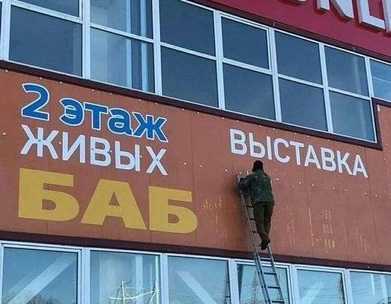 2 Sia ЖИВЫХ ВЫСТАВКА