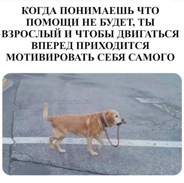 КОГДА ПОНИМАЕШЬ ЧТО ПОМОЩИ НЕ БУДЕТ, ТЫ ВЗРОСЛЫЙ И ЧТОБЫ ДВИГАТЬСЯ ВПЕРЕД ПРИХОДИТСЯ МОТИВИРОВАТЬ СЕБЯ САМОГО