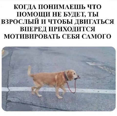 КОГДА ПОНИМАЕШЬ ЧТО ПОМОЩИ НЕ БУДЕТ, ТЫ ВЗРОСЛЫЙ И ЧТОБЫ ДВИГАТЬСЯ ВПЕРЕД ПРИХОДИТСЯ МОТИВИРОВАТЬ СЕБЯ САМОГО
