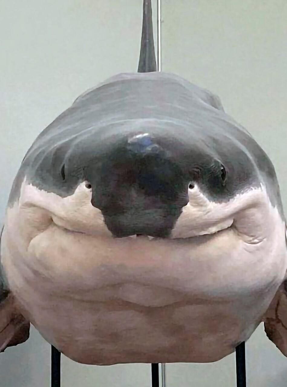 Гм