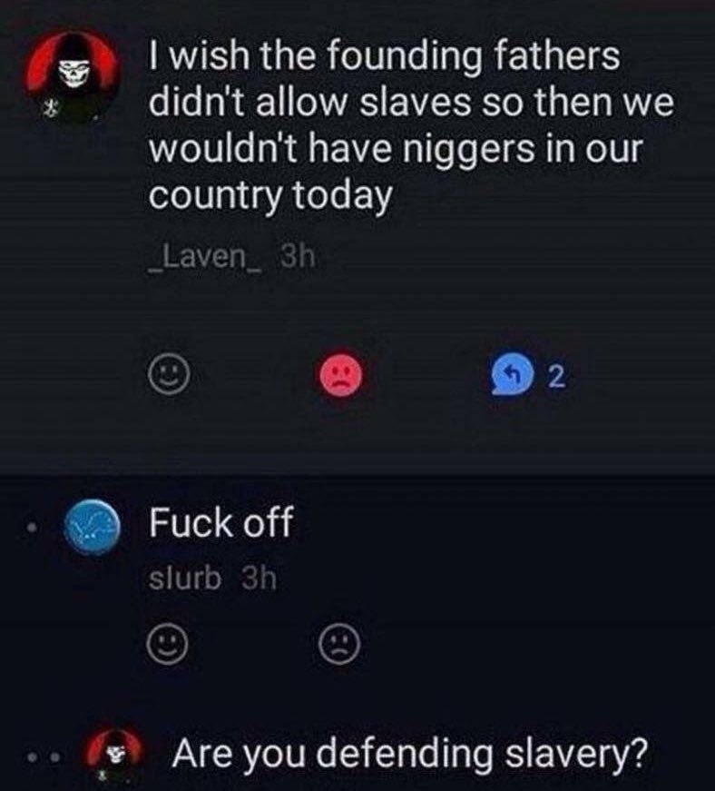 wish the founding fathers didn't allow slaves so then we wouldn't have niggers in our country today Laven 2 Fuck off Slurb Are you defending slavery?