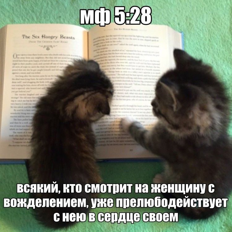28 Tae Six Huagry Bean, Won всякий, кто смотрит на женщину с вожделением, уже прелюбодействует снею в сердце своем